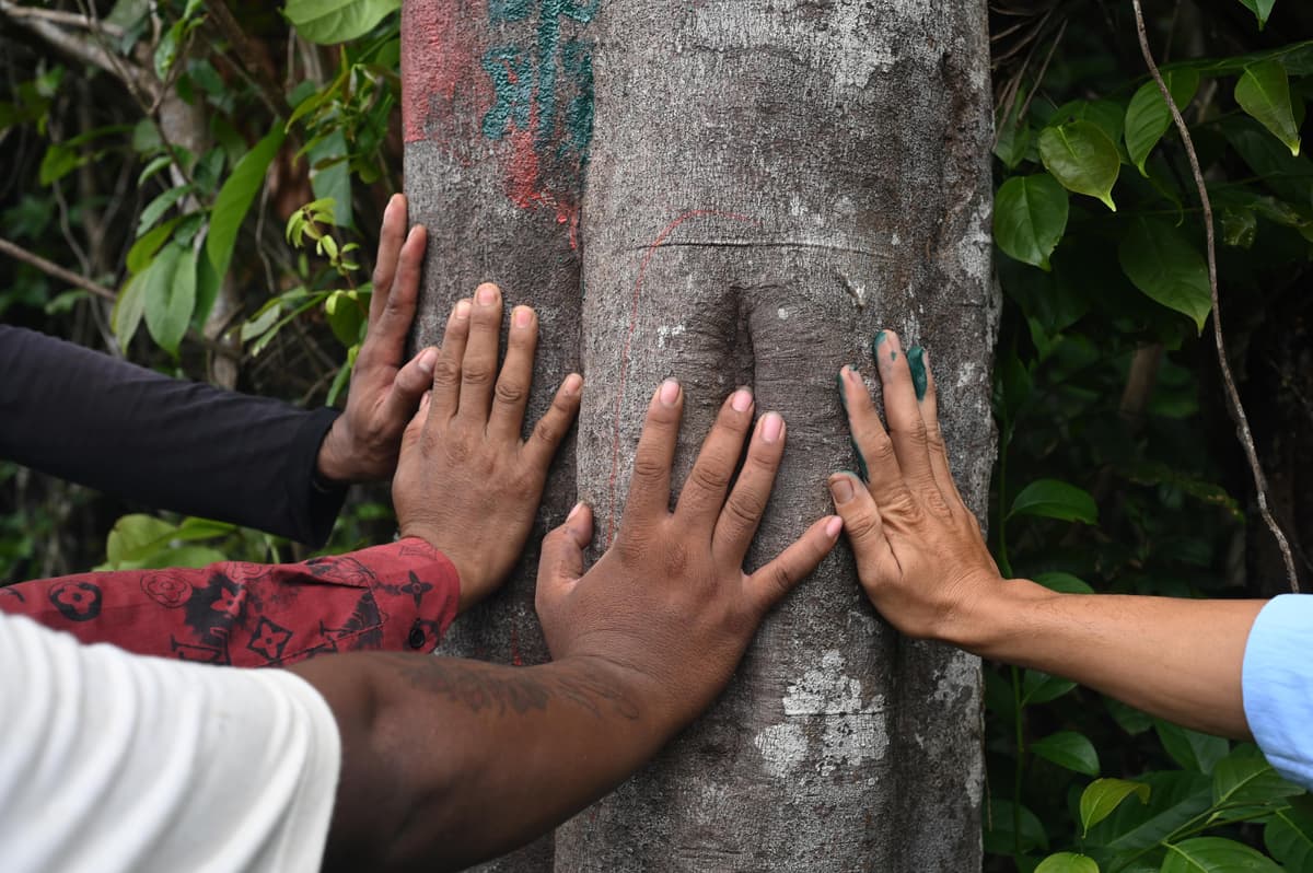 Kui youth engaging in digital education activities